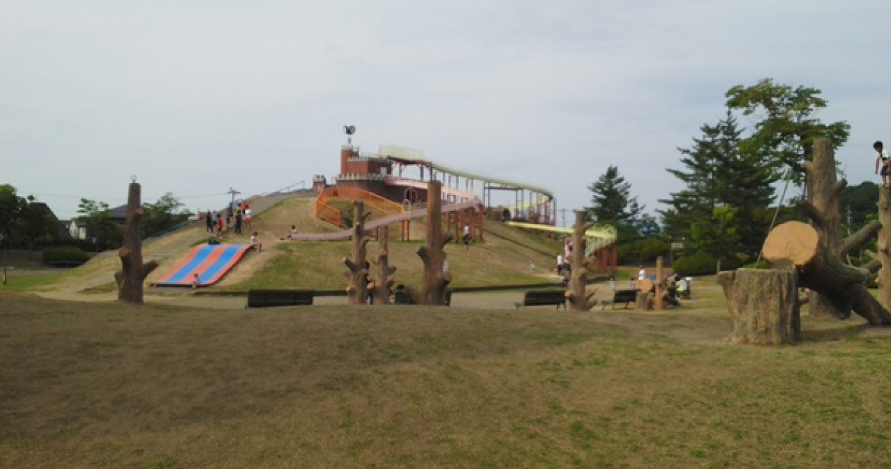 福井の運動公園で子供と遊ぶ