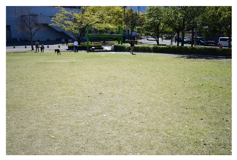 敦賀総合運動公園